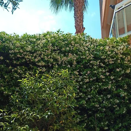 Appartement Avec Jardin Roquebrune-Cap-Martin Room photo