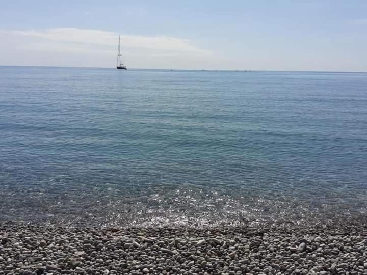 Avec Jardin Roquebrune-Cap-Martin