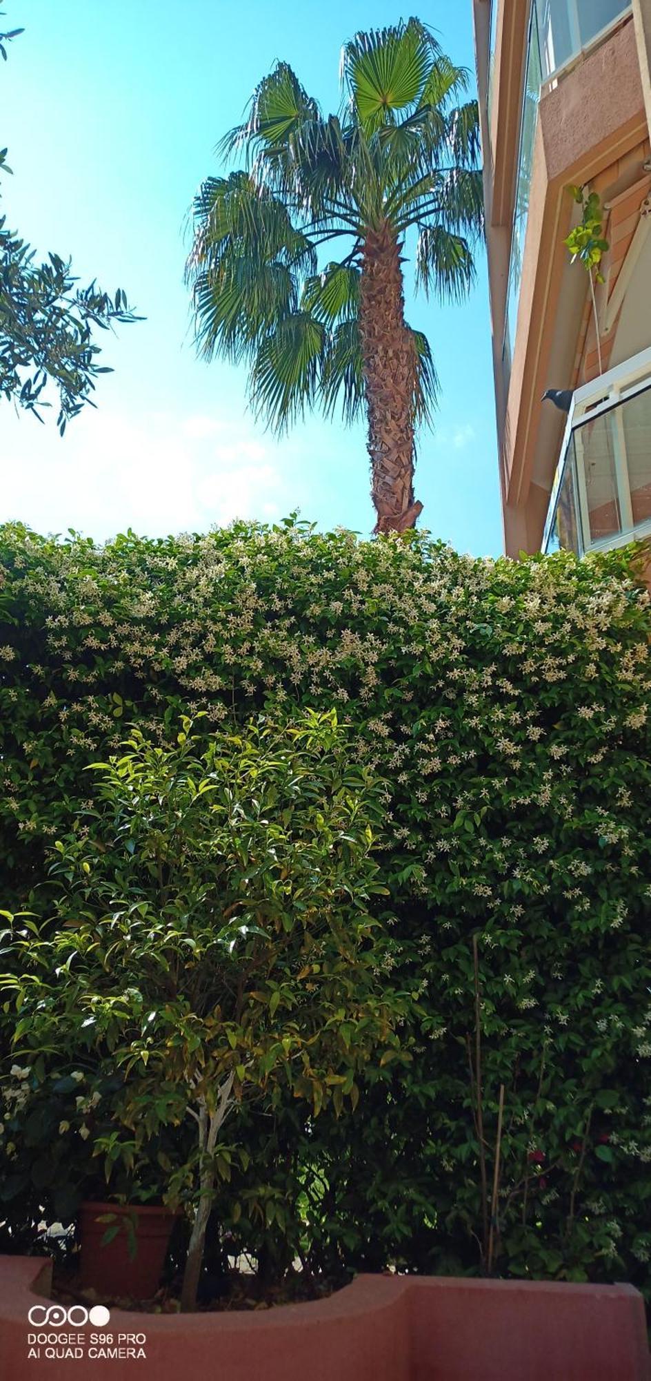 Avec Jardin Roquebrune-Cap-Martin